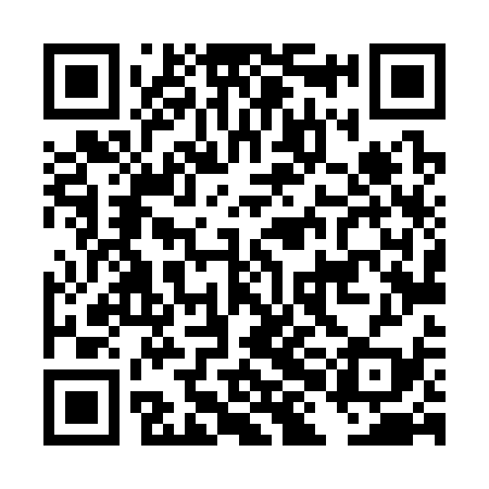 QR code for DHL339