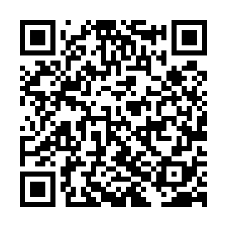 QR code for DHL578