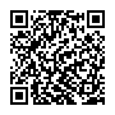 QR code for DHO163