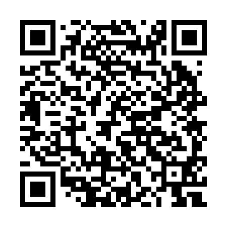 QR code for DHO290