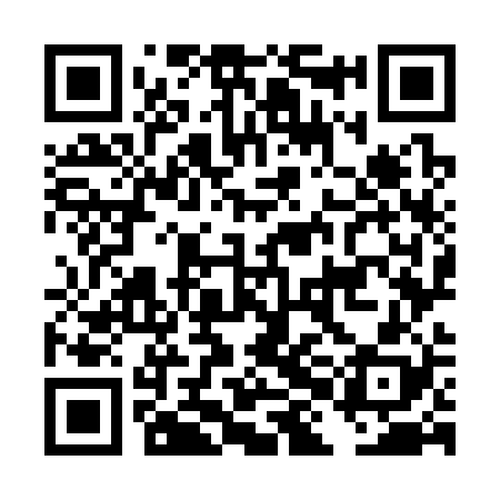 QR code for DHO328