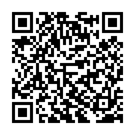 QR code for DHO413