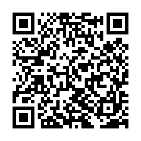 QR code for DHO497