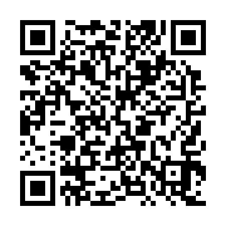QR code for DHP313