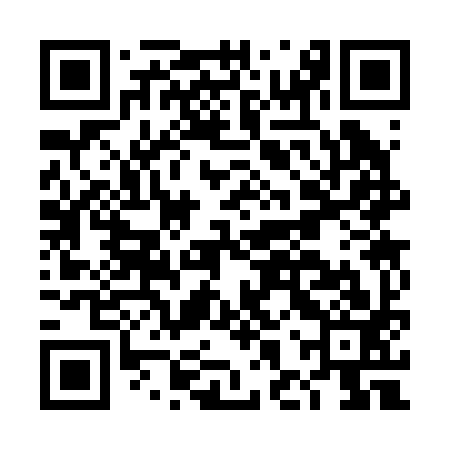 QR code for DHS293