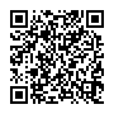 QR code for DHS313