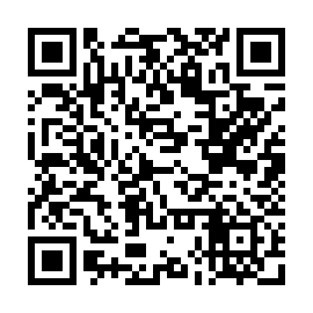 QR code for DHS439