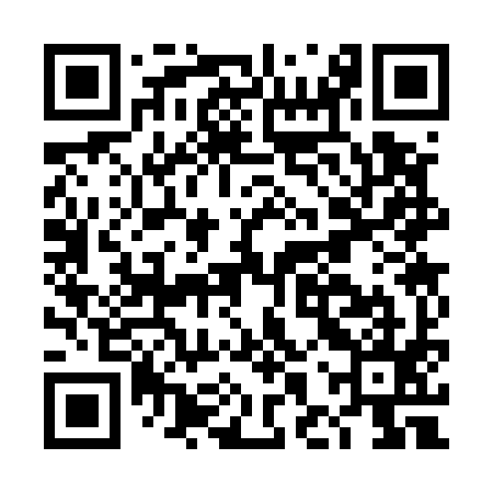 QR code for DHS595