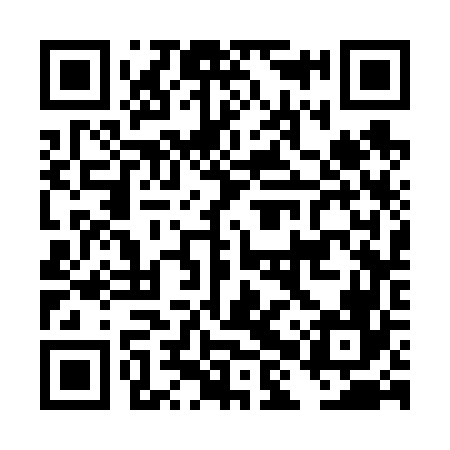 QR code for DHS666