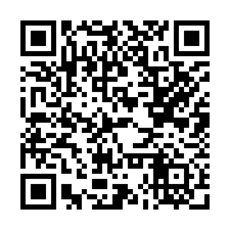 QR code for DHS971