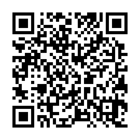 QR code for DHW335