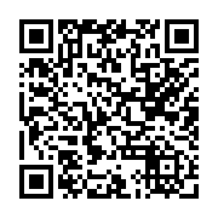 QR code for DIA959