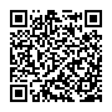 QR code for DIB207