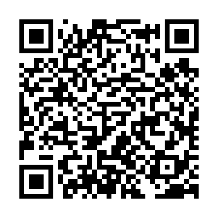 QR code for DIB638