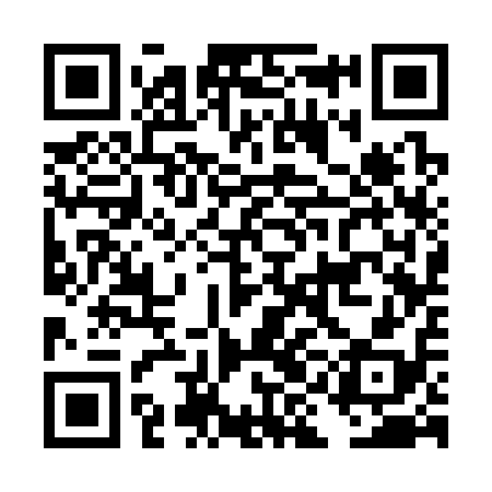 QR code for DIC318