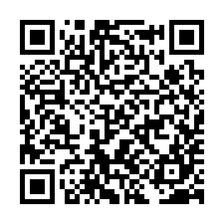 QR code for DIC384