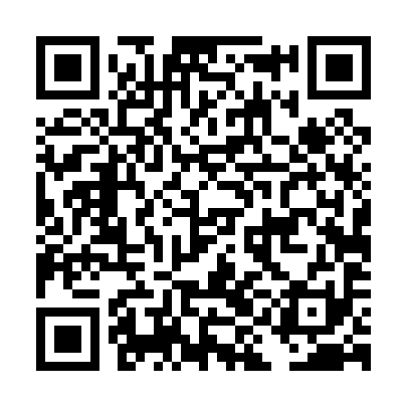 QR code for DID091