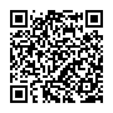 QR code for DID295