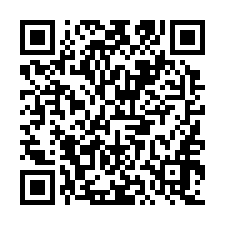 QR code for DID356