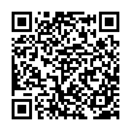 QR code for DID387
