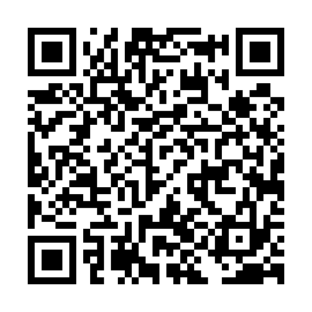 QR code for DID533