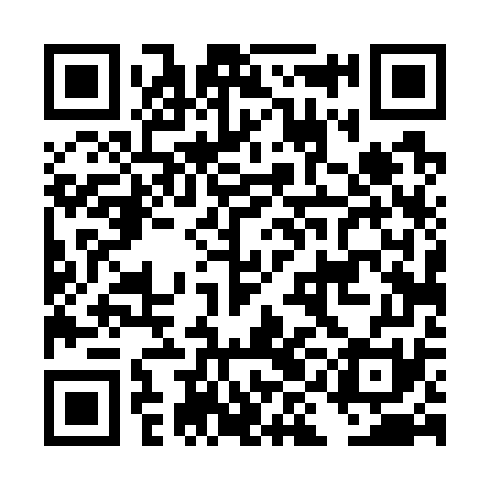 QR code for DID771