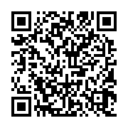 QR code for DIE308