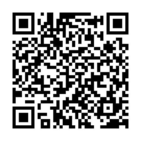 QR code for DIE334