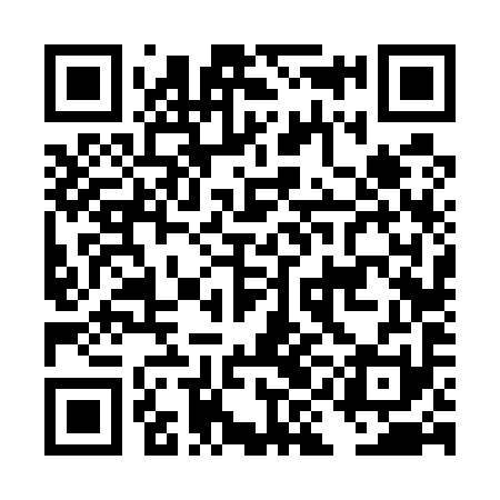 QR code for DIF591