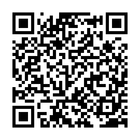 QR code for DIF950