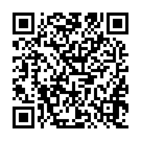 QR code for DIF956