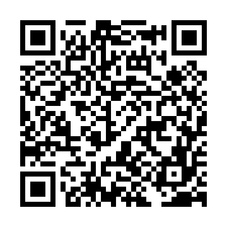 QR code for DIG056
