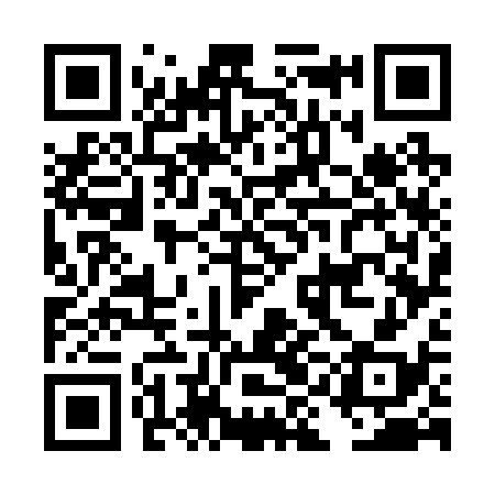 QR code for DIG238
