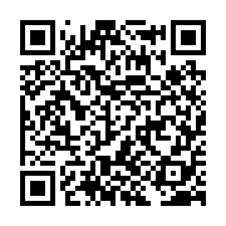 QR code for DIG258