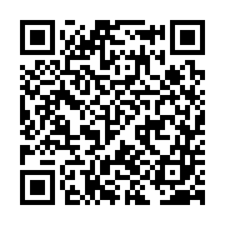 QR code for DIG343
