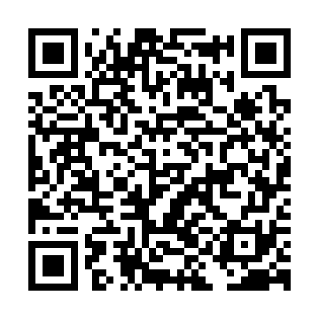 QR code for DIG371