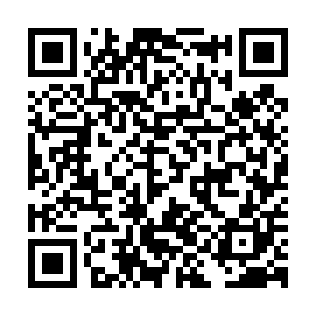 QR code for DIG400