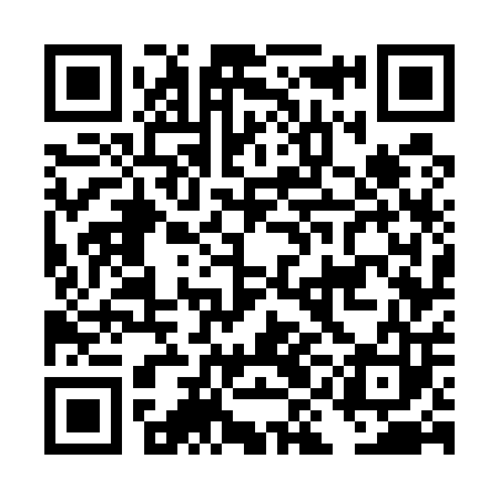 QR code for DIG503