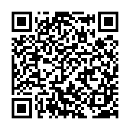 QR code for DIG583