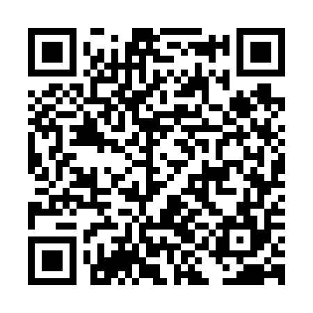 QR code for DIG654