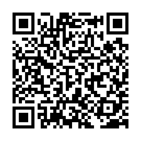 QR code for DIG789