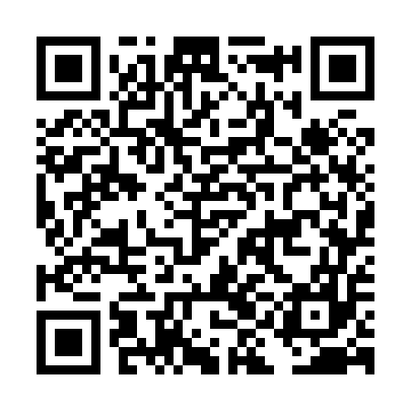 QR code for DIG857