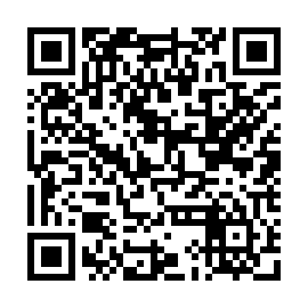 QR code for DIG905