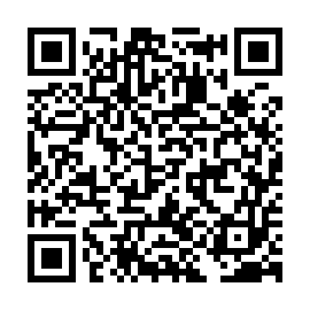 QR code for DIG953