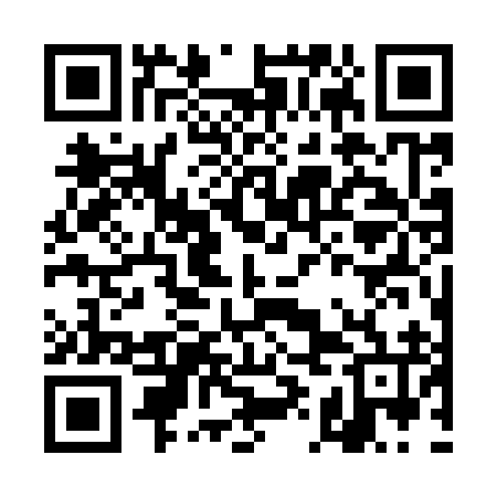 QR code for DIG996