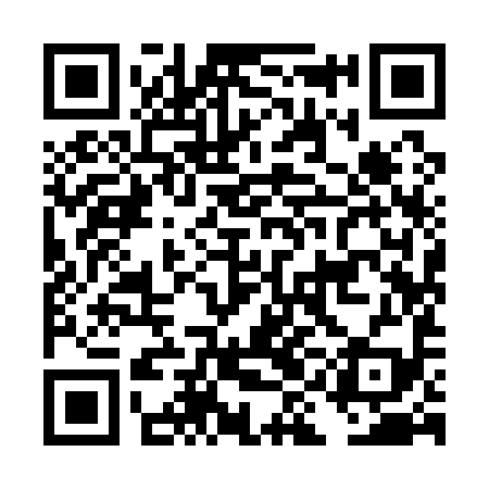 QR code for DII199