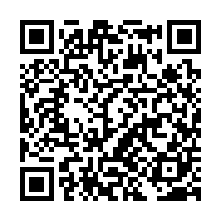 QR code for DII300