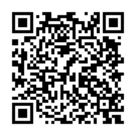 QR code for DII413
