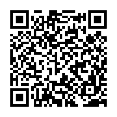 QR code for DII496
