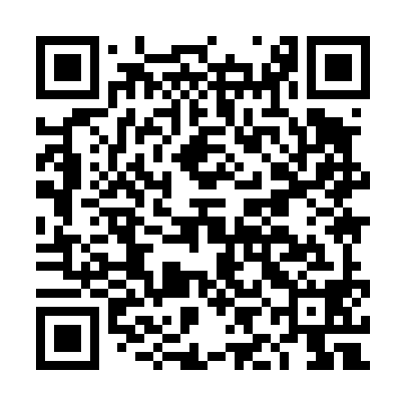 QR code for DII498